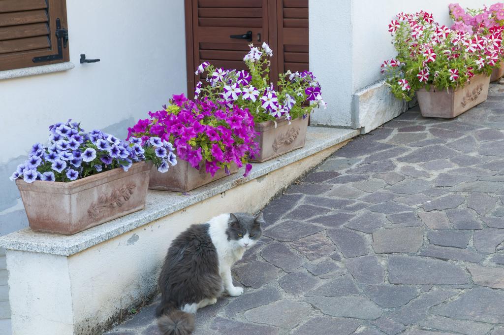 B&B Le Fresie Nuoro  Zewnętrze zdjęcie